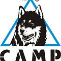 Кошки CAMP в Ростове-на-Дону