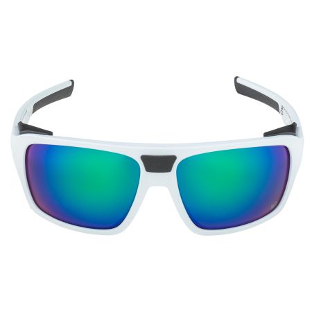 Купить Очки Alpina Skywalsh Q Smoke-Grey Matt/Green Mirror Cat.4 Fogstop в Ростове-на-Дону