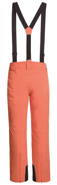 Брюки горнолыжные Icepeak 657038839IV 455 в Ростове-на-Дону