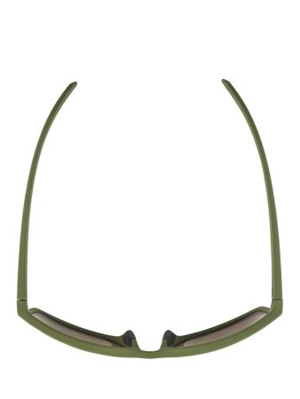 Купить Очки Alpina Nacan I Olive Matt/Bronce Mirror Cat.3 в Ростове-на-Дону