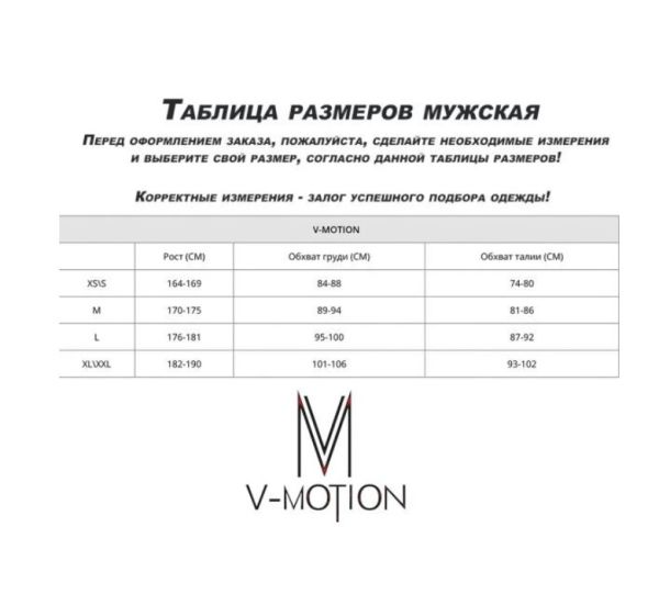 Термобельё V-MOTION Base мужской серебристый в Ростове-на-Дону