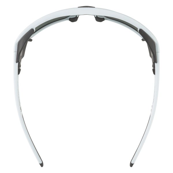 Купить очки alpina skywalsh q smoke-grey matt/green mirror cat.4 fogstop в Ростове-на-Дону