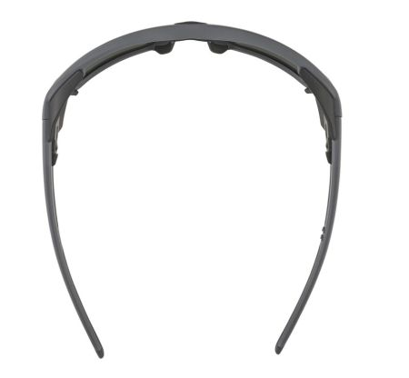 Купить Очки Alpina Skywalsh Q Midnight-Grey Matt/Blue Mirror Cat.4 Fogstop в Ростове-на-Дону