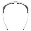 Купить Очки Alpina Skywalsh Q Smoke-Grey Matt/Green Mirror Cat.4 Fogstop в Ростове-на-Дону