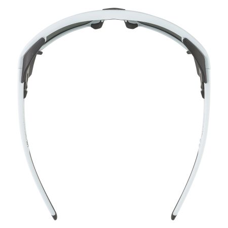 Купить Очки Alpina Skywalsh Q Smoke-Grey Matt/Green Mirror Cat.4 Fogstop в Ростове-на-Дону